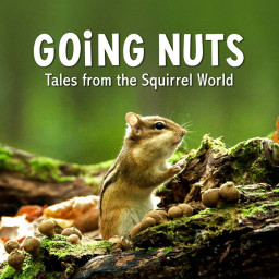 GOiNG NUTS Tales from the Squirrel World