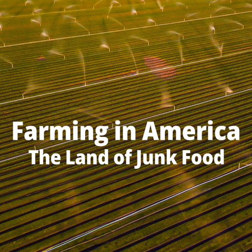 Farming in America The Land of Junk Food